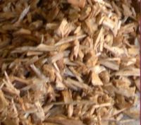 Woodchips produced using a screened chipper from virgin forestry timber